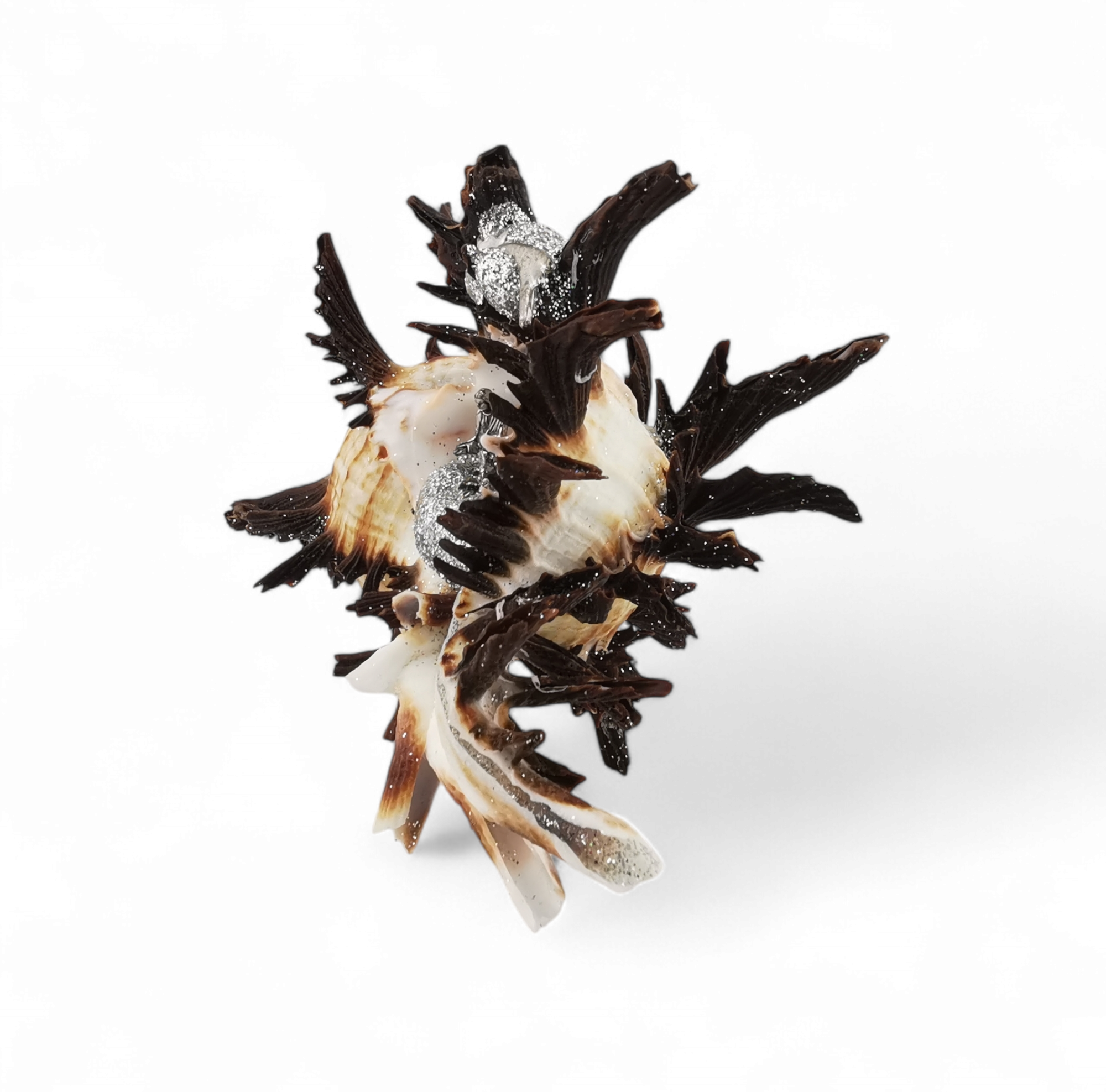 presepe in conchiglia naturale MUREX ENDIVIA con natività in lega di zama